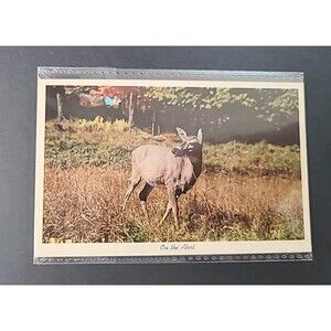 On The Alert Deer Vintage Postcard ephemera